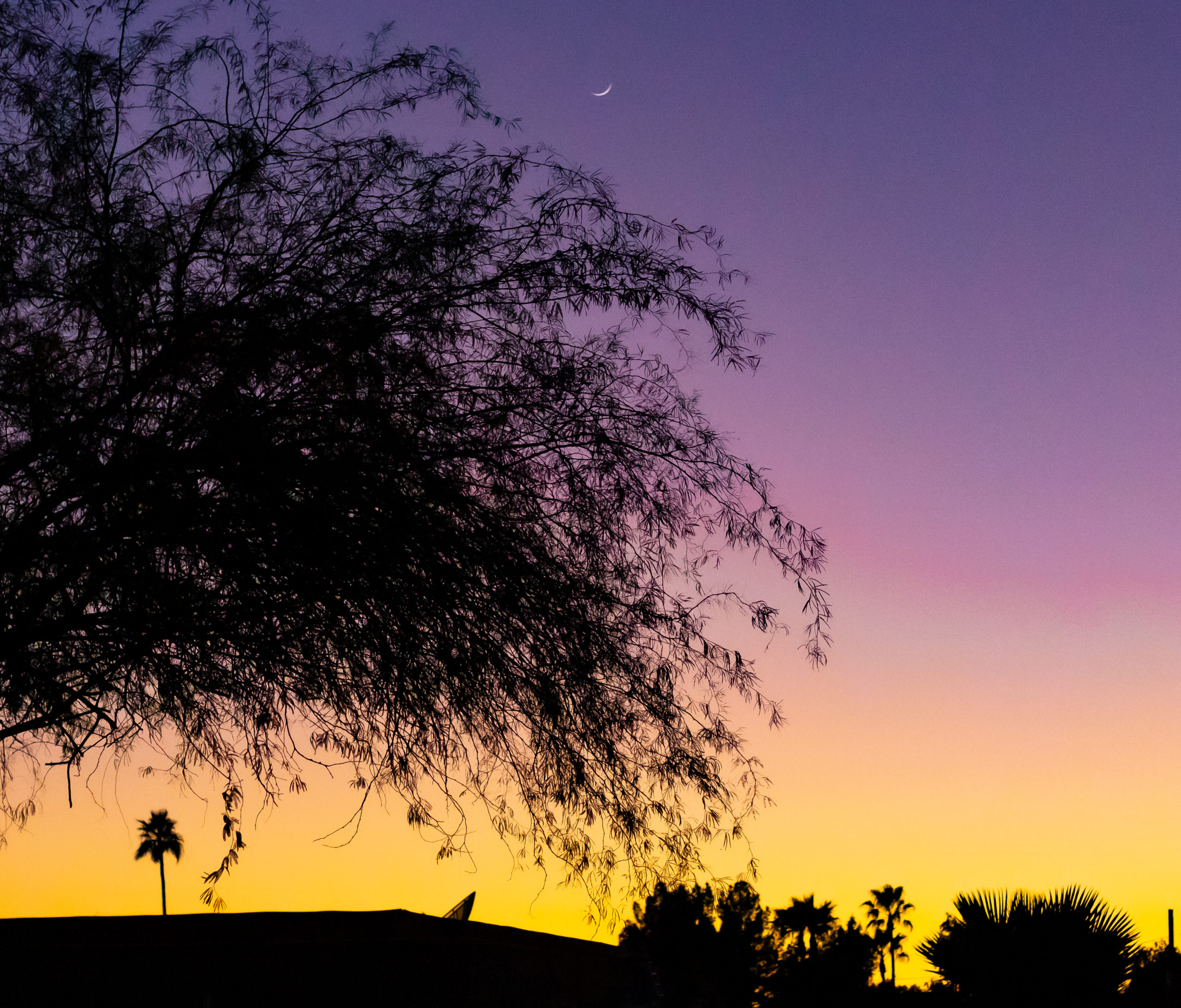 Arizona Bay Hartshorn Photo & Design