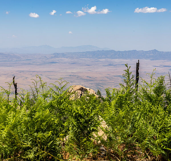 View from on Top